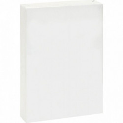 RAMETTE DE 500 FEUILLES FORMAT A4 80G BLANC ÉCONOMIQUE