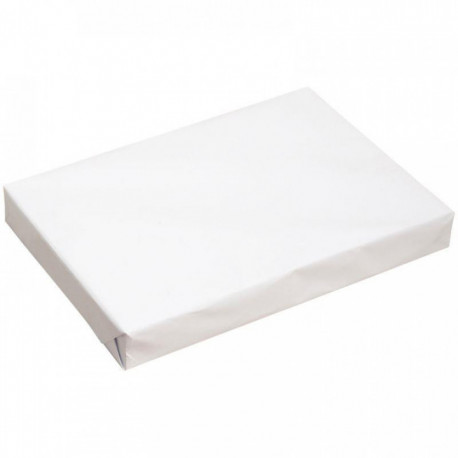 RAMETTE DE 500 FEUILLES FORMAT A3 80G BLANC ÉCONOMIQUE DONT ECOFOLIO 0.26CTS