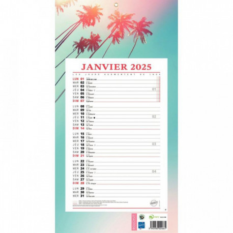 CALENDRIER MENSUEL 12 FEUILLES EXOTIQUE 36x19cm