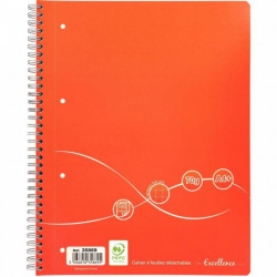 CAHIER SPIRALE A4+ 160P 5X5 70G 4 TROUS A4 DETACHE COUV CARTON PEFC ECOLABEL FAB France