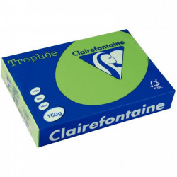 PAQUET DE 250 FEUILLES DE PAPIER 160G DE FORMAT A4 VERT MENTHE TROPHEE CLAIREFON