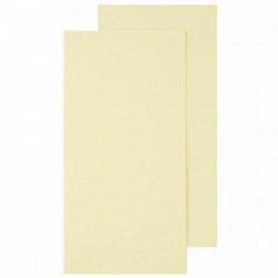 PAQUET DE 25 CARTES POLLEN CLAIREFONTAINE FORMAT 106X 213MM 210G IVOIRE