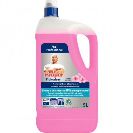 BIDON MULTI USAGES 5L MR.PROPRE FLEUR DE CERISE