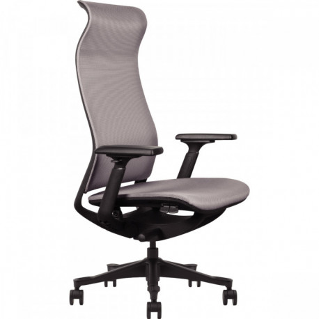 FAUTEUIL ERGONOMIQUE WAVE GRIS/STRUCTURE NOIR