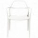 LOT DE 2 CHAISES NOVA BLANC